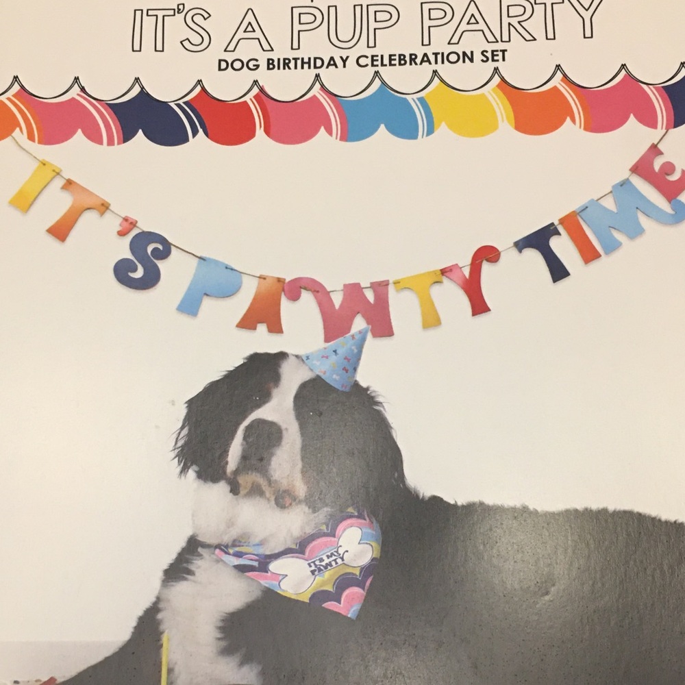 Packed Party brand Pawty Time Kit, NWT